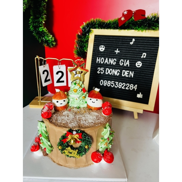 MẪU BÁNH GIÁNG SINH 009