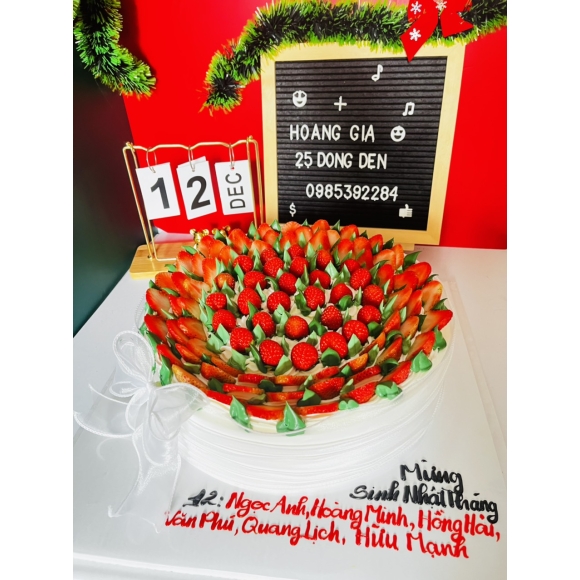 MẪU BÁNH GIÁNG SINH 013